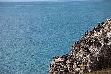 收获日3中文设置教程，PAYDAY3好友联机组队方法